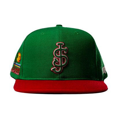 Mexico SJ - Flat Bill Snapback (Costa Alegre Collab)