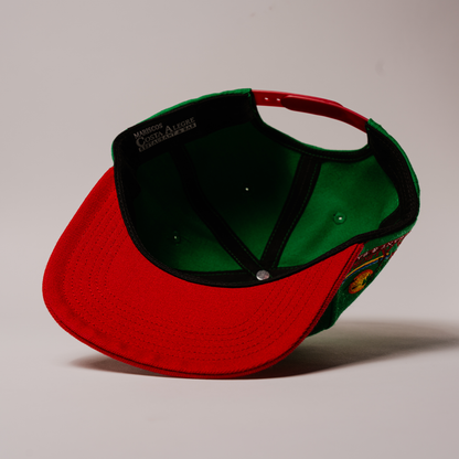 Mexico SJ - Flat Bill Snapback (Costa Alegre Collab)